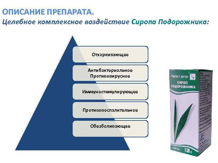 ОПИСАНИЕ ПРЕПАРАТА. Целебное комплексное воздействие Сиропа Подорожника: Отхаркивающее Антибактериальное Противовирусное Иммуностимулирующее Противовоспалительное Обезболивающее 