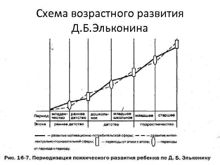 Схема возрастного развития Д. Б. Эльконина 