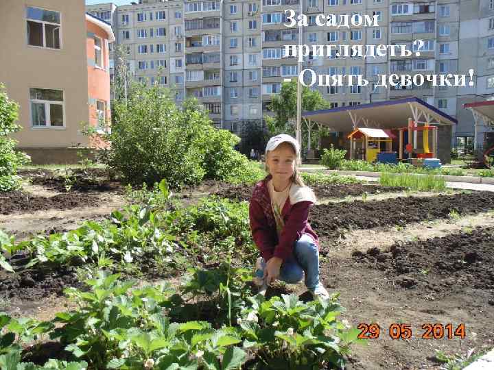 За садом приглядеть? - Опять девочки! 