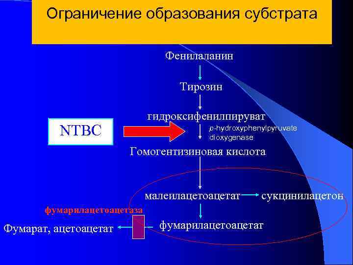 Ограничение образования. Образование гидроксифенилпируват. Фумарилацетоацетат. Фумарилацетоацетат в фумарат и ацетоацетат. Образование гомогентизата в малеилацетоацетат.