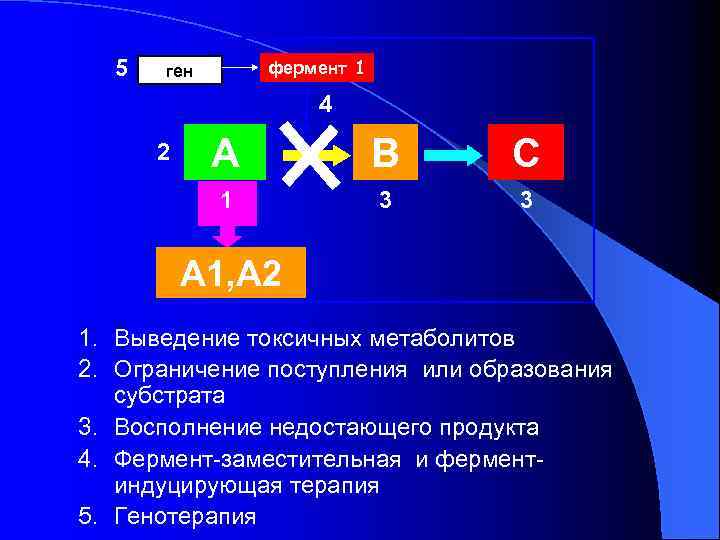 5 фермент 1 ген 4 А В С 1 2 3 3 А 1,