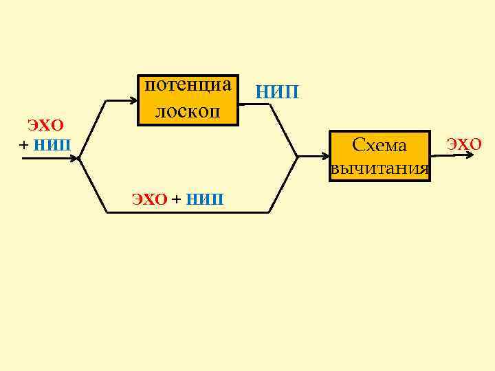 ЭХО + НИП потенциа лоскоп НИП Схема вычитания ЭХО + НИП эхо 