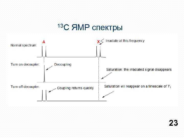 13 С ЯМР спектры 23 