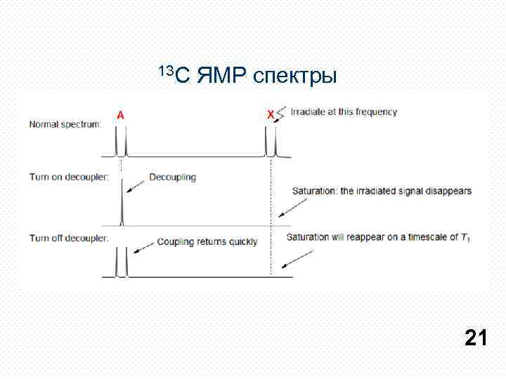 13 С ЯМР спектры 21 