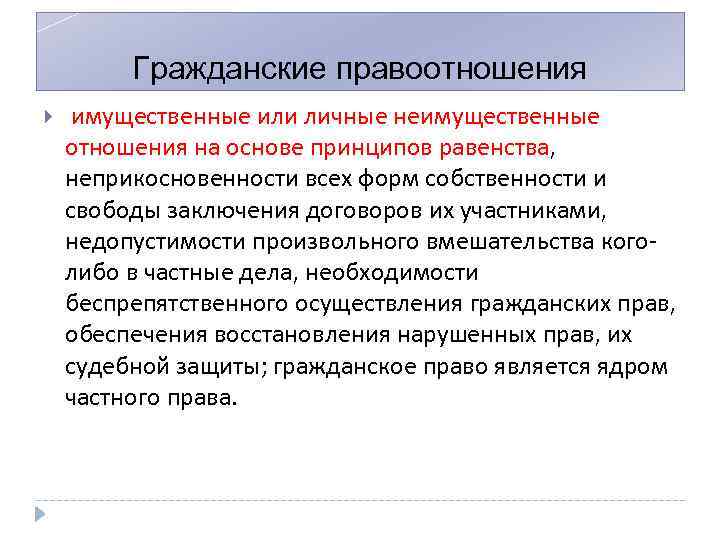 Гражданские правоотношения имущественные или личные неимущественные отношения на основе принципов равенства, неприкосновенности всех форм