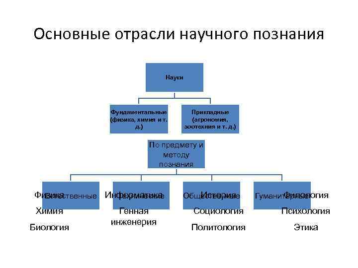 Основные отрасли научного познания Науки Фундаментальные (физика, химия и т. д. ) Прикладные (агрономия,