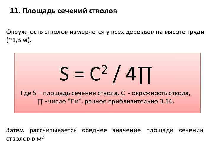 11. Площадь сечений стволов Окружность стволов измеряется у всех деревьев на высоте груди (~1,