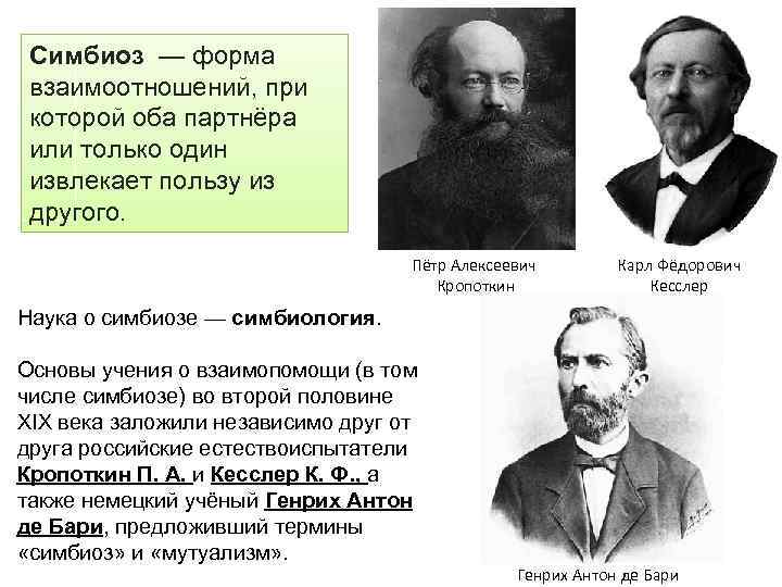 Симбиоз — форма взаимоотношений, при которой оба партнёра или только один извлекает пользу из