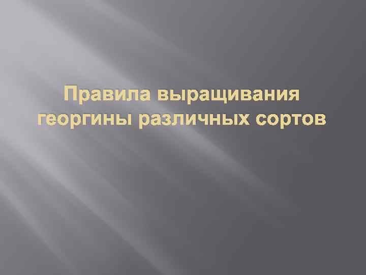 Правила выращивания георгины различных сортов 