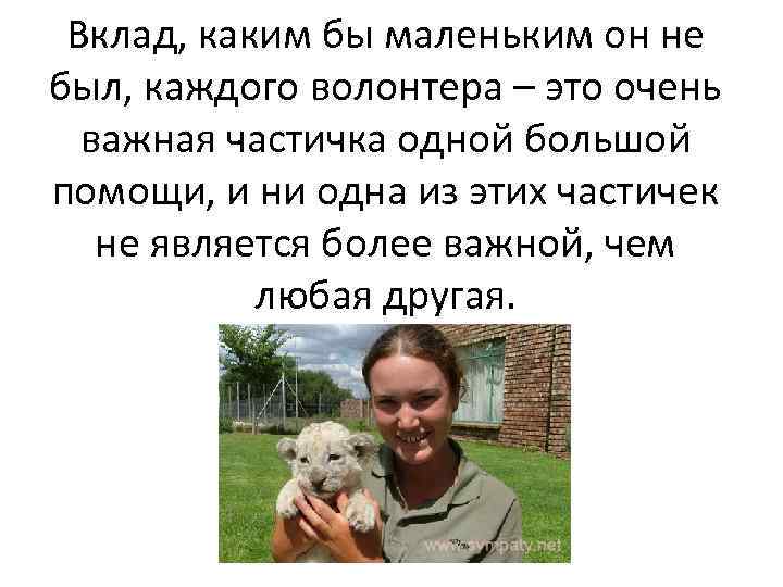 Вклад, каким бы маленьким он не был, каждого волонтера – это очень важная частичка