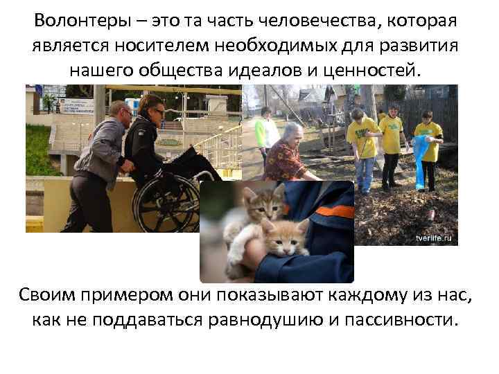 Волонтеры – это та часть человечества, которая является носителем необходимых для развития нашего общества
