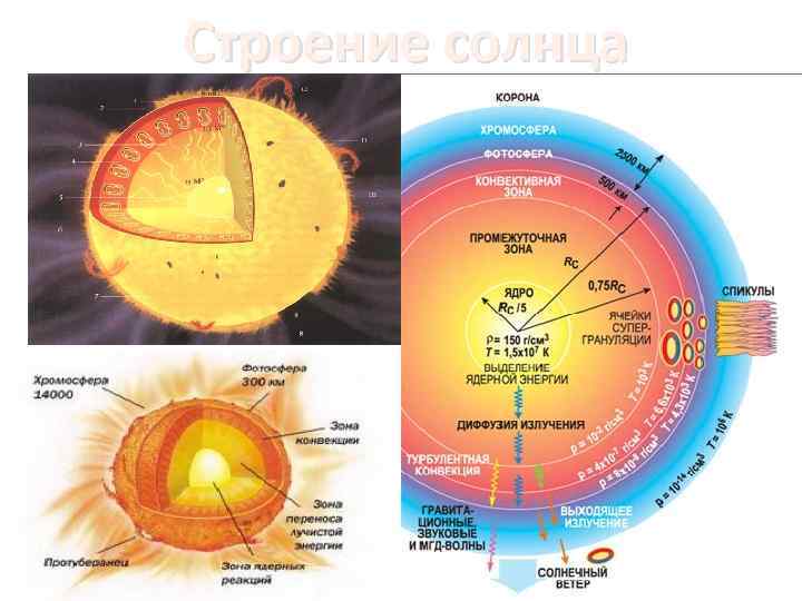 Солнечный указанный. Диаграмма внутреннего строения солнца.. Строение солнца инфографика. Внутреннее строение солнца ? По астрономии. Солнце ближайшая звезда строение солнца.