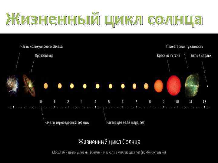 Солнечный цикл