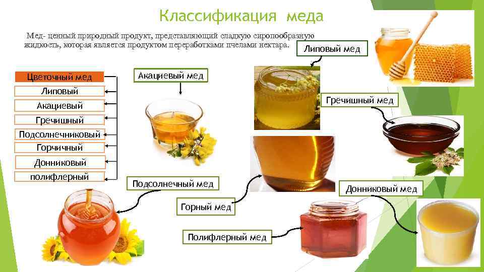 Классификация меда Мед- ценный природный продукт, представляющий сладкую сиропообразную жидкость, которая является продуктом переработками