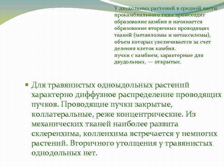 У двудольных растений в средней части прокамбиального тяжа происходит образование камбия и начинается образование