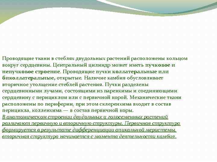 Проводящие ткани в стеблях двудольных растений расположены кольцом вокруг сердцевины. Центральный цилиндр может иметь