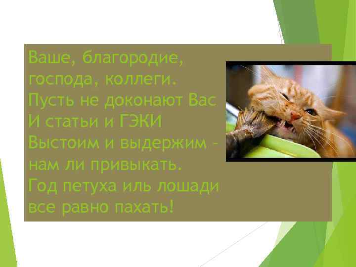 Ваше, благородие, господа, коллеги. Пусть не доконают Вас И статьи и ГЭКИ Выстоим и