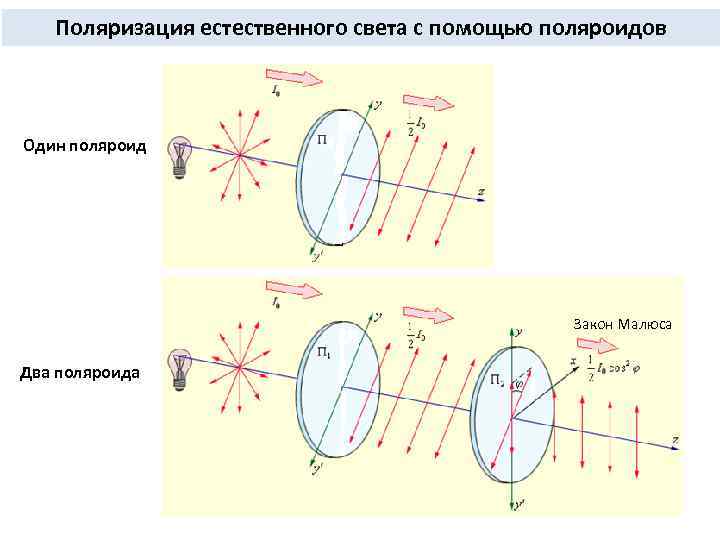 Поляризация света схема