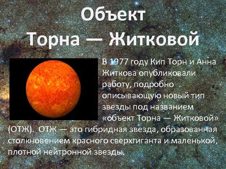 Объект Торна — Житковой В 1977 году Кип Торн и Анна Житкова опубликовали работу,