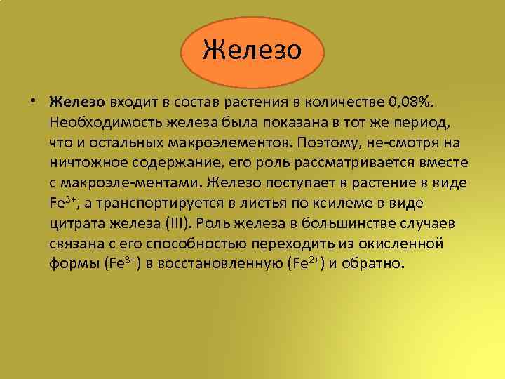 Железо • Железо входит в состав растения в количестве 0, 08%. Необходимость железа была