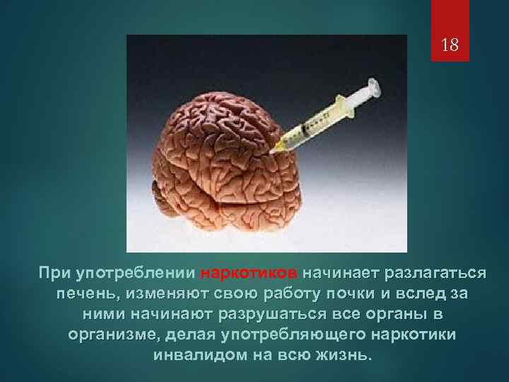 18 При употреблении наркотиков начинает разлагаться печень, изменяют свою работу почки и вслед за