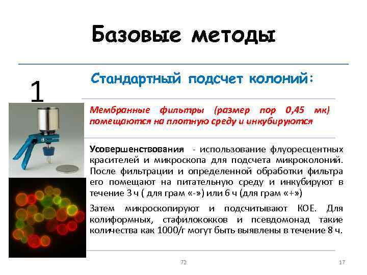 Базовые методы 1 Стандартный подсчет колоний: Мембранные фильтры (размер пор 0, 45 мк) помещаются