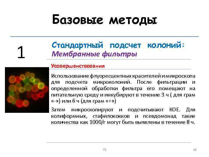 Базовые методы 1 Стандартный подсчет колоний: Мембранные фильтры Усовершенствования Использование флуоресцентных красителей и микроскопа