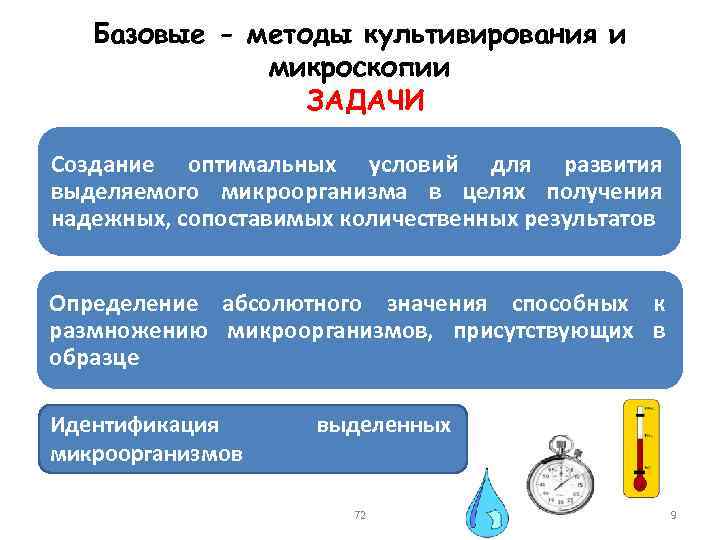 Базовые - методы культивирования и микроскопии ЗАДАЧИ Создание оптимальных условий для развития выделяемого микроорганизма