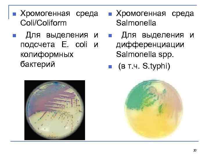 n n Хромогенная среда Coli/Coliform Для выделения и подсчета E. coli и колиформных бактерий