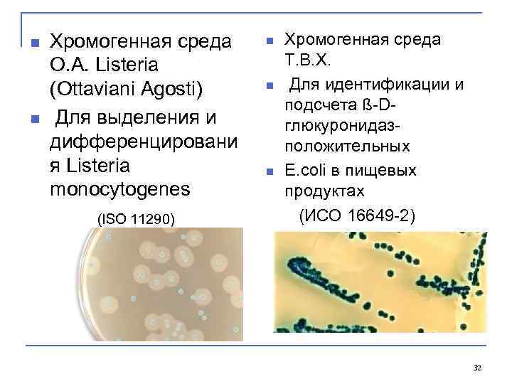 n n Хромогенная среда O. A. Listeria (Ottaviani Agosti) Для выделения и дифференцировани я