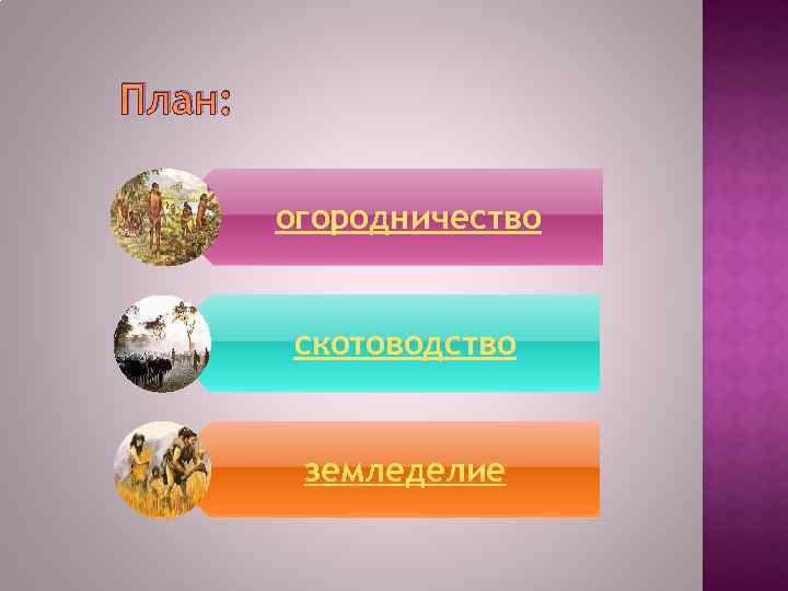План: огородничество скотоводство земледелие 