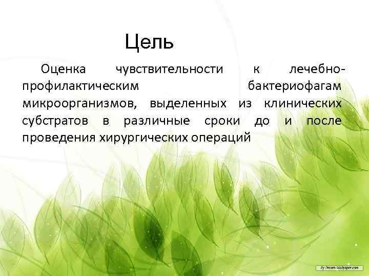 Цель Оценка чувствительности к лечебнопрофилактическим бактериофагам микроорганизмов, выделенных из клинических субстратов в различные сроки