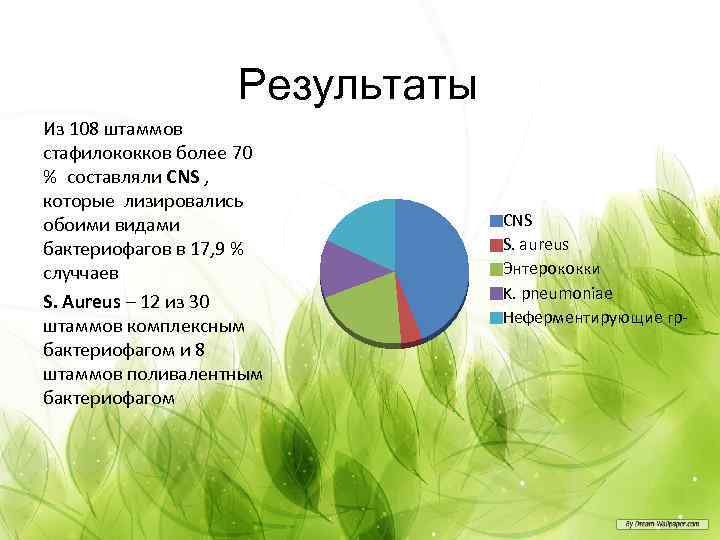 Результаты Из 108 штаммов стафилококков более 70 % составляли CNS , которые лизировались обоими