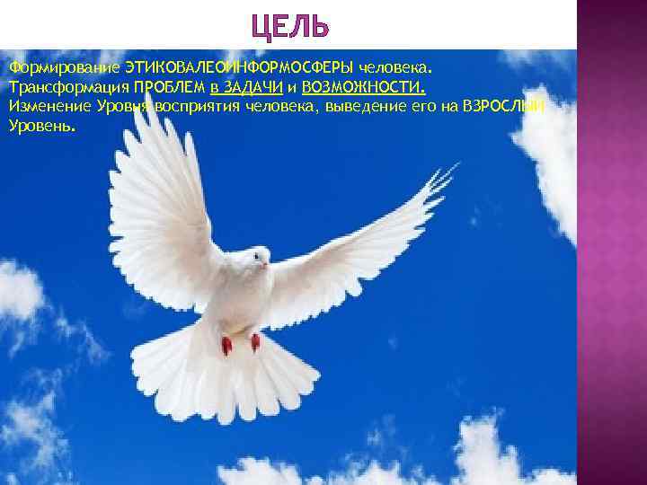 ЦЕЛЬ Формирование ЭТИКОВАЛЕОИНФОРМОСФЕРЫ человека. Трансформация ПРОБЛЕМ в ЗАДАЧИ и ВОЗМОЖНОСТИ. Изменение Уровня восприятия человека,