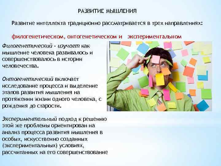 РАЗВИТИЕ МЫШЛЕНИЯ Развитие интеллекта традиционно рассматривается в трех направлениях: филогенетическом, онтогенетическом и экспериментальном Филогенетический