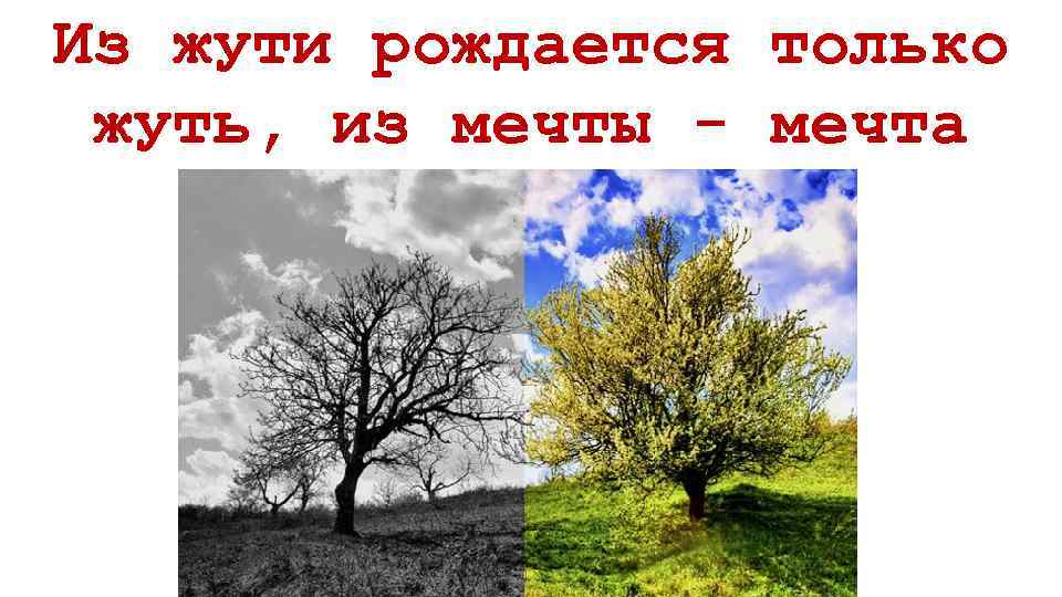 Из жути рождается только жуть, из мечты - мечта 