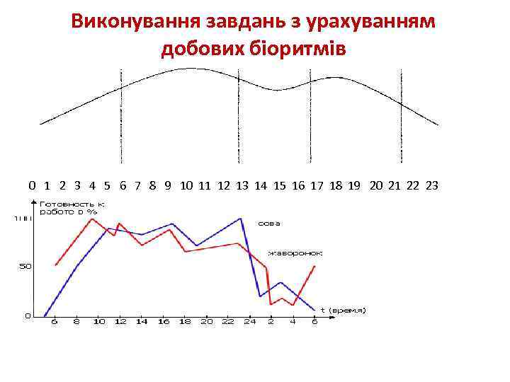 Виконування завдань з урахуванням добових біоритмів 0 1 2 3 4 5 6 7