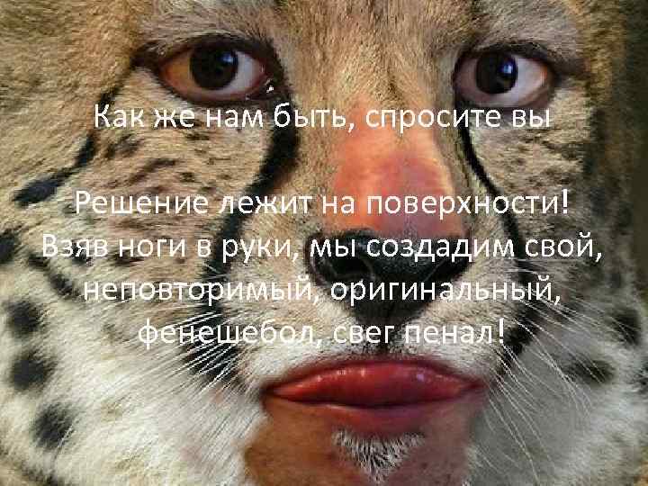 Как же нам быть, спросите вы Решение лежит на поверхности! Взяв ноги в руки,