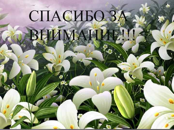 СПАСИБО ЗА ВНИМАНИЕ!!! 