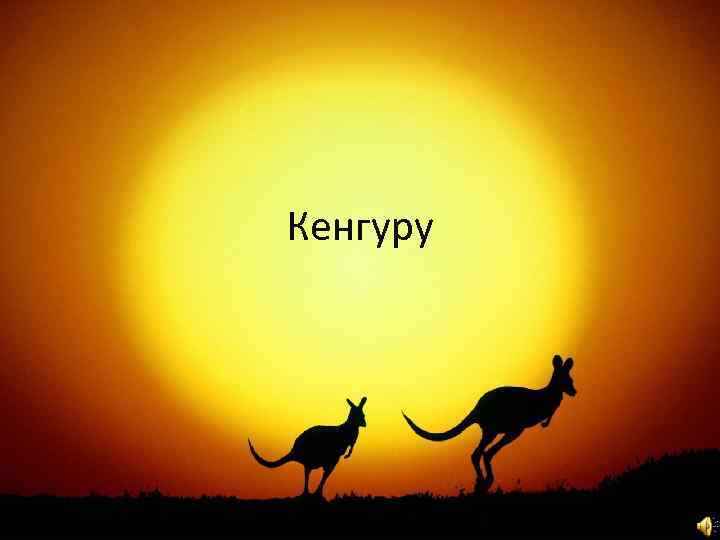 Кенгуру 