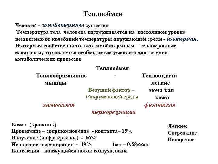 Теплообмен Человек - гомойотермное существо Температура тела человека поддерживается на постоянном уровне независимо от