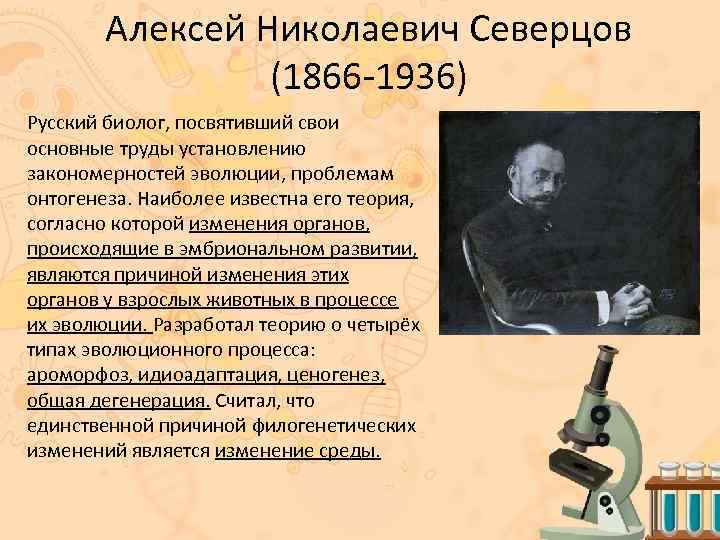 Алексей Николаевич Северцов (1866 -1936) Русский биолог, посвятивший свои основные труды установлению закономерностей эволюции,