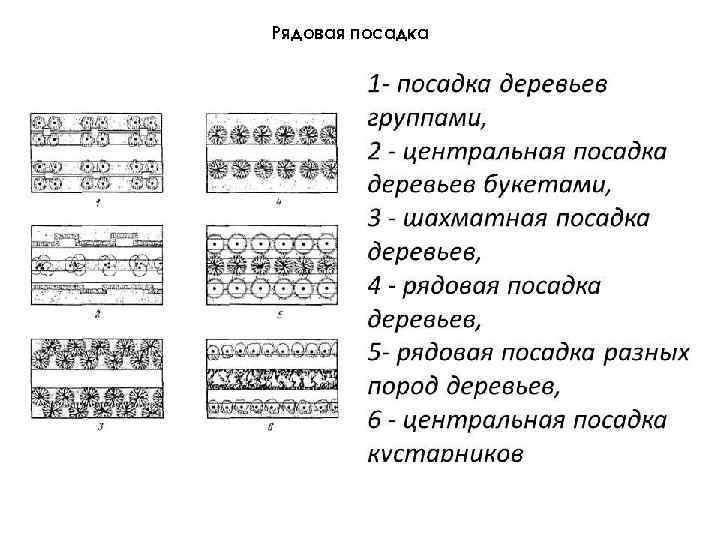 Рядовая посадка 