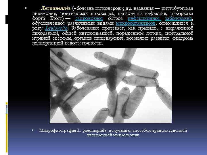  Легионеллёз ( «болезнь легионеров» ; др. названия — питтсбургская пневмония, понтиакская лихорадка, легионелла