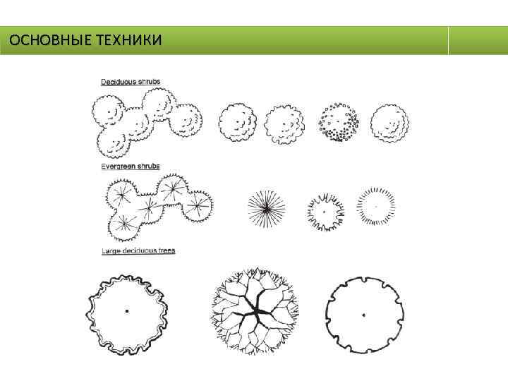 ОСНОВНЫЕ ТЕХНИКИ 