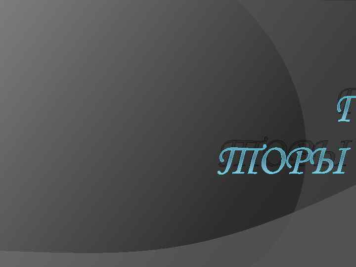 Г ТОРЫ 