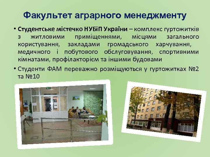 Факультет аграрного менеджменту • Студентське містечко НУБіП України – комплекс гуртожитків з житловими приміщеннями,