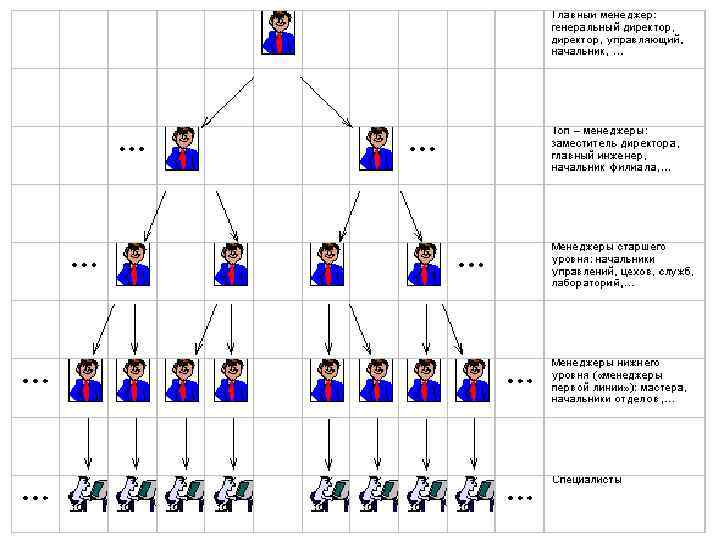 Название руководителей. Должности по уровням иерархии. Иерархия должностей на предприятии. Современная иерархия. Иерархия должностей в корпорации.