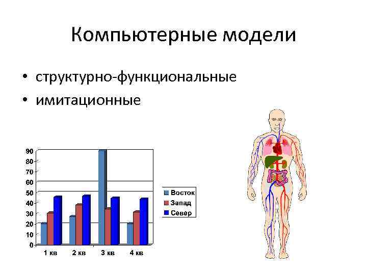 Компьютерные модели • структурно-функциональные • имитационные 