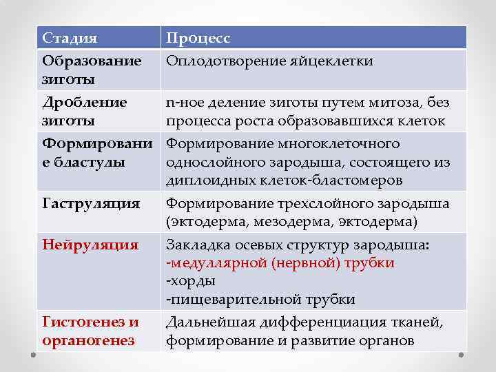 Стадия Процесс Образование зиготы Оплодотворение яйцеклетки Дробление зиготы n-ное деление зиготы путем митоза, без